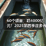 60个项目,超4000亿元!2025第四季度多省份公路工程批复信息汇总(图2) 60个项目,超4000亿元!2025第四季度多省份公路工程批复信息汇总(图2)