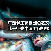 广西柳工高级副总裁文武一行来中国工程机械工业协会进行工作交流(图1) 广西柳工高级副总裁文武一行来中国工程机械工业协会进行工作交流(图1)