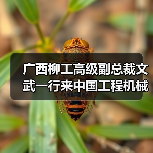 广西柳工高级副总裁文武一行来中国工程机械工业协会进行工作交流(图3) 广西柳工高级副总裁文武一行来中国工程机械工业协会进行工作交流(图3)