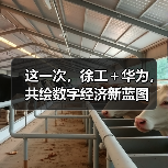 这一次,徐工+华为,共绘数字经济新蓝图(图1) 这一次,徐工+华为,共绘数字经济新蓝图(图1)
