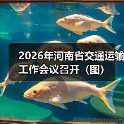 2026年河南省交通运输工作会议召开(图)(图1) 2026年河南省交通运输工作会议召开(图)(图1)