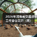 2026年河南省交通运输工作会议召开(图)(图4) 2026年河南省交通运输工作会议召开(图)(图4)