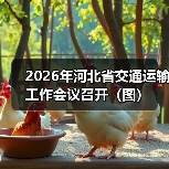 2026年河北省交通运输工作会议召开（图）（图2）
