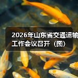 2026年山东省交通运输工作会议召开（图）（图1）
