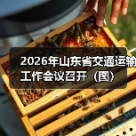 2026年山东省交通运输工作会议召开（图）（图3）