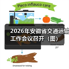 2026年安徽省交通运输工作会议召开(图)(图3) 2026年安徽省交通运输工作会议召开(图)(图3)