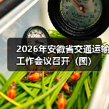 2026年安徽省交通运输工作会议召开(图)(图4) 2026年安徽省交通运输工作会议召开(图)(图4)