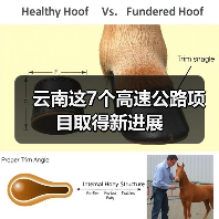 云南这7个高速公路项目取得新进展(图4) 云南这7个高速公路项目取得新进展(图4)