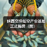 陕西交控低空产业基地正式揭牌（图）（图3）