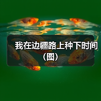 我在边疆路上种下时间(图)(图3) 我在边疆路上种下时间(图)(图3)