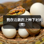 我在边疆路上种下时间(图)(图4) 我在边疆路上种下时间(图)(图4)