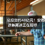 总投资约48亿元!安徽这条高速正在招标(图1) 总投资约48亿元!安徽这条高速正在招标(图1)