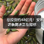 总投资约48亿元!安徽这条高速正在招标(图3) 总投资约48亿元!安徽这条高速正在招标(图3)