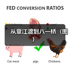 从章江渡到八一桥(图)(图4) 从章江渡到八一桥(图)(图4)