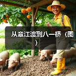 从章江渡到八一桥(图)(图2) 从章江渡到八一桥(图)(图2)