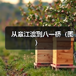从章江渡到八一桥(图)(图1) 从章江渡到八一桥(图)(图1)