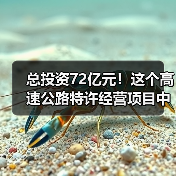 总投资72亿元!这个高速公路特许经营项目中标候选人公示(图4) 总投资72亿元!这个高速公路特许经营项目中标候选人公示(图4)