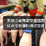 黑龙江省两项交通强国试点任务顺利通过交通运输部验收(图)(图1) 黑龙江省两项交通强国试点任务顺利通过交通运输部验收(图)(图1)