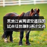 黑龙江省两项交通强国试点任务顺利通过交通运输部验收(图)(图2) 黑龙江省两项交通强国试点任务顺利通过交通运输部验收(图)(图2)