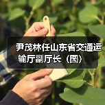 尹茂林任山东省交通运输厅副厅长（图）（图1）