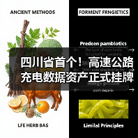 四川省首个!高速公路充电数据资产正式挂牌(图)(图1) 四川省首个!高速公路充电数据资产正式挂牌(图)(图1)