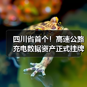 四川省首个!高速公路充电数据资产正式挂牌(图)(图3) 四川省首个!高速公路充电数据资产正式挂牌(图)(图3)