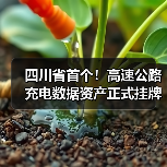 四川省首个!高速公路充电数据资产正式挂牌(图)(图4) 四川省首个!高速公路充电数据资产正式挂牌(图)(图4)