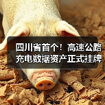 四川省首个!高速公路充电数据资产正式挂牌(图)(图2) 四川省首个!高速公路充电数据资产正式挂牌(图)(图2)