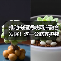 推动构建海峡两岸融合发展!这一公路养护数智研发制造中心揭牌(图2) 推动构建海峡两岸融合发展!这一公路养护数智研发制造中心揭牌(图2)
