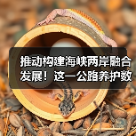 推动构建海峡两岸融合发展!这一公路养护数智研发制造中心揭牌(图1) 推动构建海峡两岸融合发展!这一公路养护数智研发制造中心揭牌(图1)