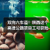 双向六车道!陕西这个高速公路项目工可获批(图1) 双向六车道!陕西这个高速公路项目工可获批(图1)