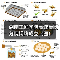 湖南工匠学院高速集团分院揭牌成立(图)(图3) 湖南工匠学院高速集团分院揭牌成立(图)(图3)