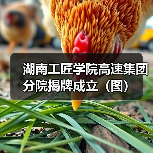 湖南工匠学院高速集团分院揭牌成立(图)(图2) 湖南工匠学院高速集团分院揭牌成立(图)(图2)