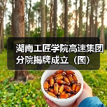 湖南工匠学院高速集团分院揭牌成立(图)(图4) 湖南工匠学院高速集团分院揭牌成立(图)(图4)