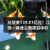 总投资139.81亿元!江西一高速公路项目中标信息公布(图3) 总投资139.81亿元!江西一高速公路项目中标信息公布(图3)