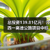 总投资139.81亿元!江西一高速公路项目中标信息公布(图2) 总投资139.81亿元!江西一高速公路项目中标信息公布(图2)