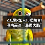 23项软著+23项荣誉!湖南高速“最强大脑”构建知识产权矩阵(图2) 23项软著+23项荣誉!湖南高速“最强大脑”构建知识产权矩阵(图2)