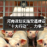 河南谋划实施交通建设“十大行动”,力争一季度完成投资超200亿元(图3) 河南谋划实施交通建设“十大行动”,力争一季度完成投资超200亿元(图3)