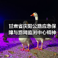 甘肃省庆阳公路应急保障与路网监测中心精神文明建设再结硕果：喜获“甘肃省巾帼文明岗位”称号（图）（图1）