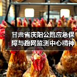 甘肃省庆阳公路应急保障与路网监测中心精神文明建设再结硕果：喜获“甘肃省巾帼文明岗位”称号（图）（图3）