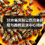 甘肃省庆阳公路应急保障与路网监测中心精神文明建设再结硕果：喜获“甘肃省巾帼文明岗位”称号（图）（图2）