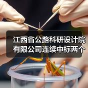 江西省公路科研设计院有限公司连续中标两个项目 实现2026年经营业绩开门红(图3) 江西省公路科研设计院有限公司连续中标两个项目 实现2026年经营业绩开门红(图3)