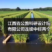 江西省公路科研设计院有限公司连续中标两个项目 实现2026年经营业绩开门红(图1) 江西省公路科研设计院有限公司连续中标两个项目 实现2026年经营业绩开门红(图1)