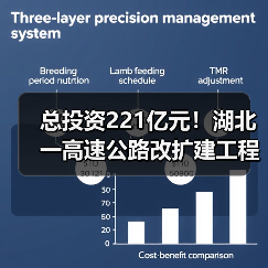总投资221亿元！湖北一高速公路改扩建工程初步设计获批（图）（图3）