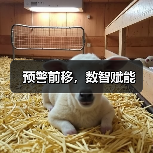 预警前移,数智赋能(图3) 预警前移,数智赋能(图3)