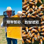 预警前移,数智赋能(图4) 预警前移,数智赋能(图4)
