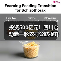 投资500亿元！四川启动新一轮农村公路提升行动（图3）