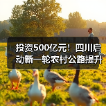 投资500亿元！四川启动新一轮农村公路提升行动（图1）
