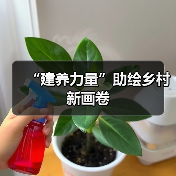 “建养力量”助绘乡村新画卷（图3）