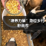 “建养力量”助绘乡村新画卷（图4）